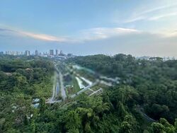 Normanton Park (D5), Apartment #422167851